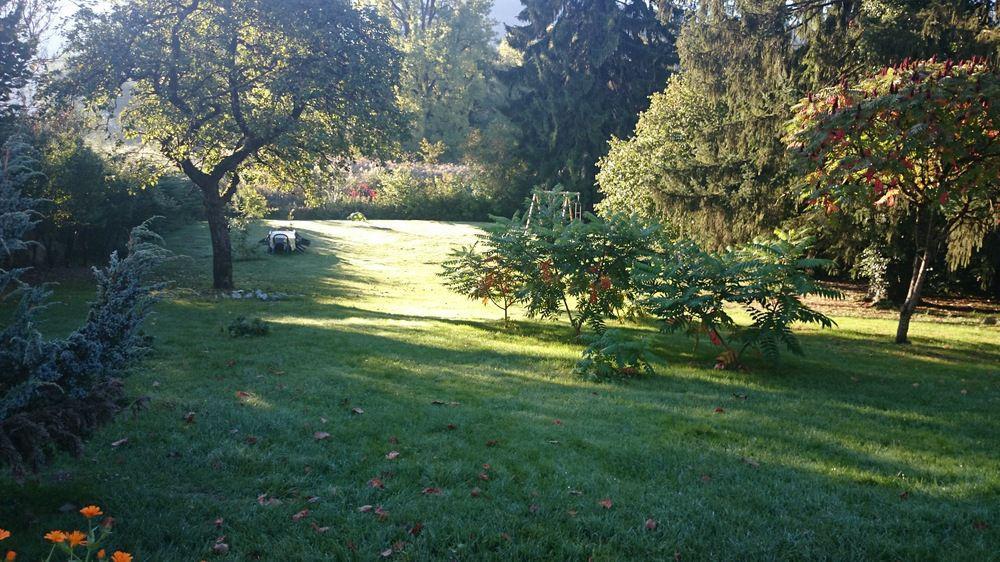 A La Grenouille Du Jura Otel Bellignat Dış mekan fotoğraf