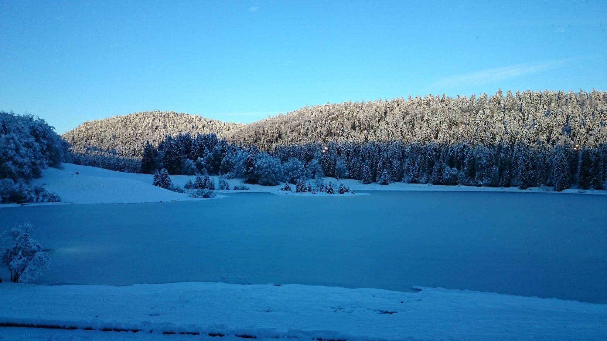 A La Grenouille Du Jura Otel Bellignat Dış mekan fotoğraf