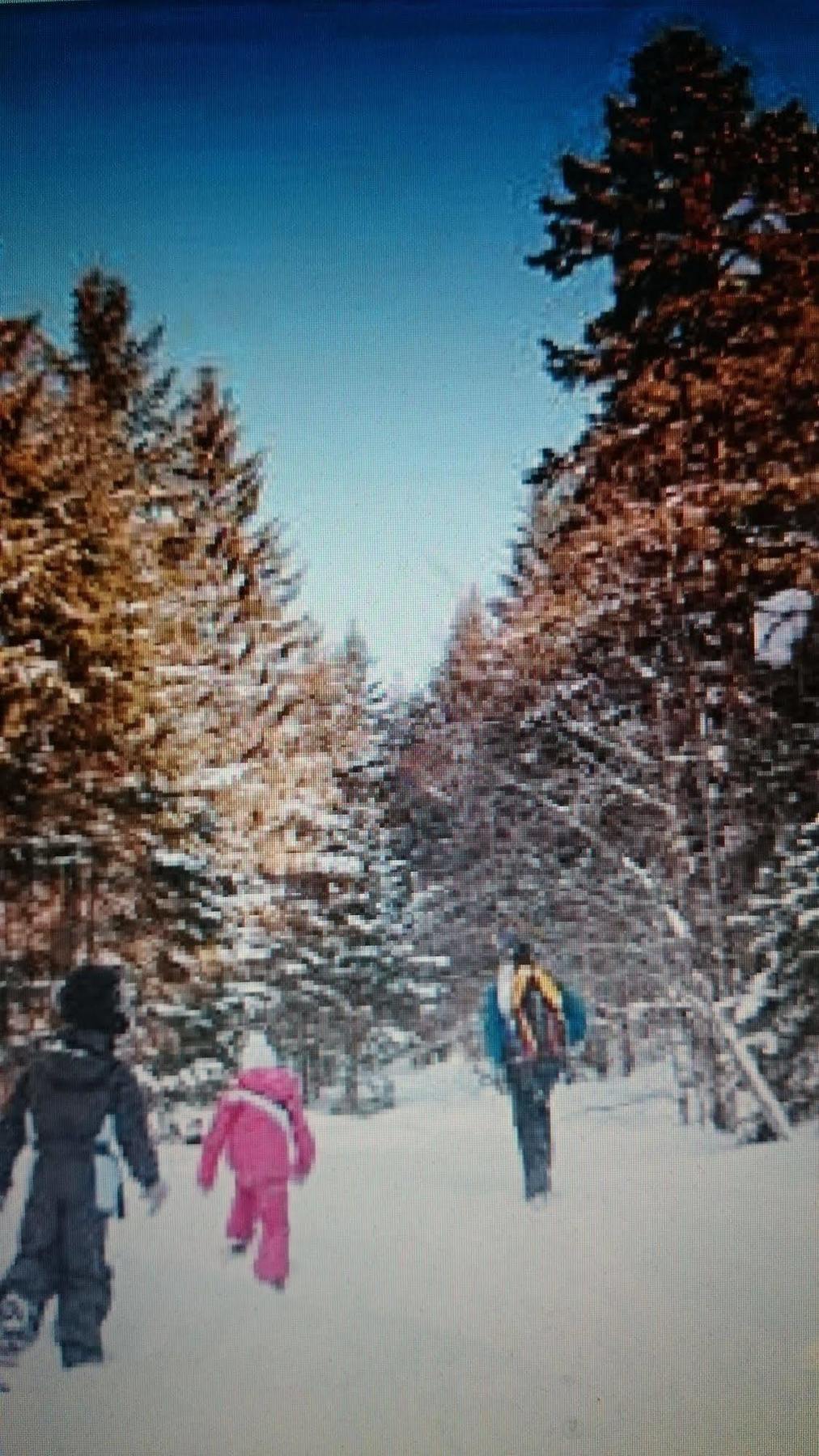 A La Grenouille Du Jura Otel Bellignat Dış mekan fotoğraf